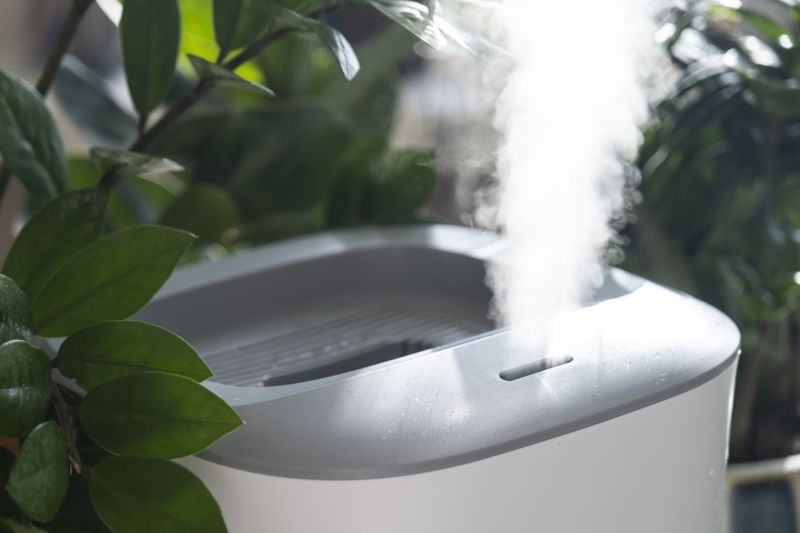Regular repairs help prolong the life of your humidifier